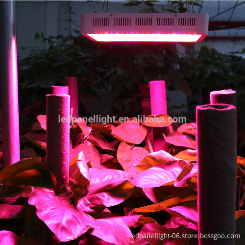 Full Spectrum Hydroponic 600 Watt LED Grow Light Full Spectrum for Indoor Plants Veg and Bloom, Hydroponic Greenhouse Garden